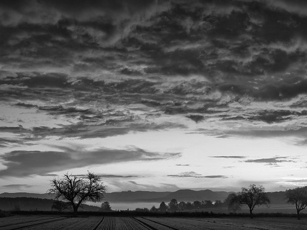Wales Blog 1