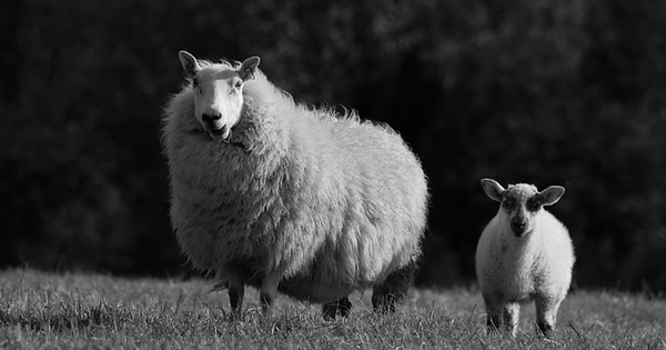 Wales Blog 6